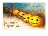 Halloween  Curiouser and Curiouser  Jack O'Lanterns