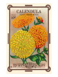 Calendula Seed Packet