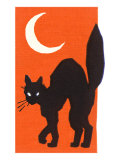 Black Cat and Moon