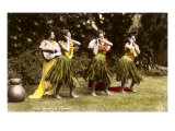 Hula Dancers  Hawaii