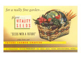Vitality Seeds Advertisement  Vegetable Basket