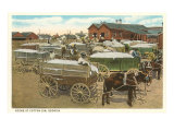 Cotton Gin