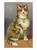 Tabby with Bell