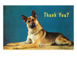 Thank You Quizzical German Shepherd