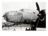 Nose Art  Sticky Kitty