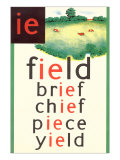 IE for Field