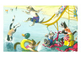 Cats Sliding into Swimming Pool