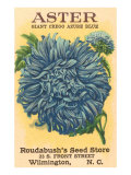 Aster Seed Packet