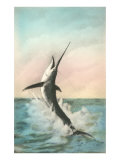 Swordfish on the Line