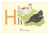 H is for Hen