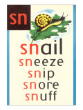 SN for Snail