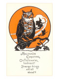 Winking Owl and Witch on Broom