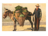 Vegetable Seller with Donkey  Italy