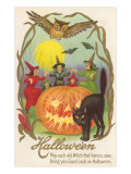 Witches  Bats Owl  Cat  Jack O'Lantern