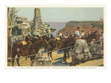 Mules at Lookout  Grand Canyon