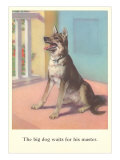 Big Dog Waits for Master