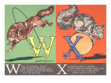 Wolf and Squirrel