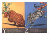 Yak and Zebra