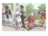 Cat Wedding