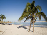 Beach of Progreso  Yucatan  Mexico