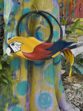 Colorful Art Gallery Details  Pine Island  Florida  USA