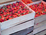 Strawberries at Market  San Miguel De Allende  Guanajuato State  Mexico