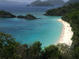 Trunk Bay Beach  St Johns  US Virgin Islands
