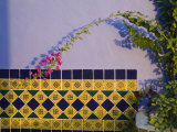 Tiled Wall near Pool  Hotel Mediomundo  Merida  Yucatan  Mexico
