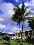Colorful Nelsons Dockyard  English Harbour  Antigua