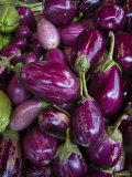 Purple eggplant  Seafront Market  St-Paul  Reunion Island  France