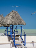 Steps Leading over the Seaside Boulevard  Progreso  Yucatan  Mexico