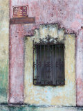 Colorful Window and Wall  Merida  Yucatan  Mexico