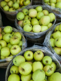 Fresh Apples  Beulah  Lake Michigan Shore  Michigan  USA