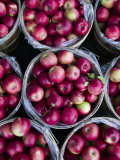 Fresh Apples  Beulah  Lake Michigan Shore  Michigan  USA