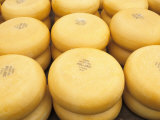 Cheese At The Cheese Market  Alkmaar  Holland