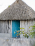 Houses in Coastal Fishing Village  San Felipe  Yucatan  Mexico