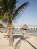 Beach of Progreso  Yucatan  Mexico