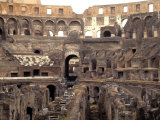 Colosseum Ruins  Rome  Italy