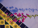 Tiled Wall near Pool  Hotel Mediomundo  Merida  Yucatan  Mexico