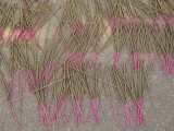 Colorful handmade incense sticks  Da Nang  Vietnam