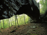 Alum Cove Natural Bridge  Ozark-St Francis National Forest  Arkansas  USA