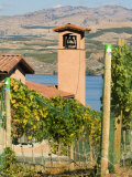 Mountains and Lake Chelan  Columbia Valley Appellation  Washington  USA