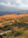 Storm at Coral Pink Sand Dunes State Park  Utah  USA