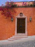 Bougainvillea Blooming  San Miguel  Guanajuato State  Mexico