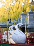 Swanboats  Public Garden  Boston  Massachusetts  USA