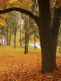 Autumn  Manito Park  Spokane  Washington  USA