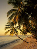 Beach at Sunset  Trinidad  Caribbean