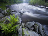 West Branch of the Westfield River  Chesterfield  Massachusetts  USA