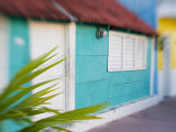 Houses in Coastal Fishing Village  San Felipe  Yucatan  Mexico