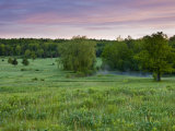 Early morning in a field at Highland Farm in York  Maine  USA